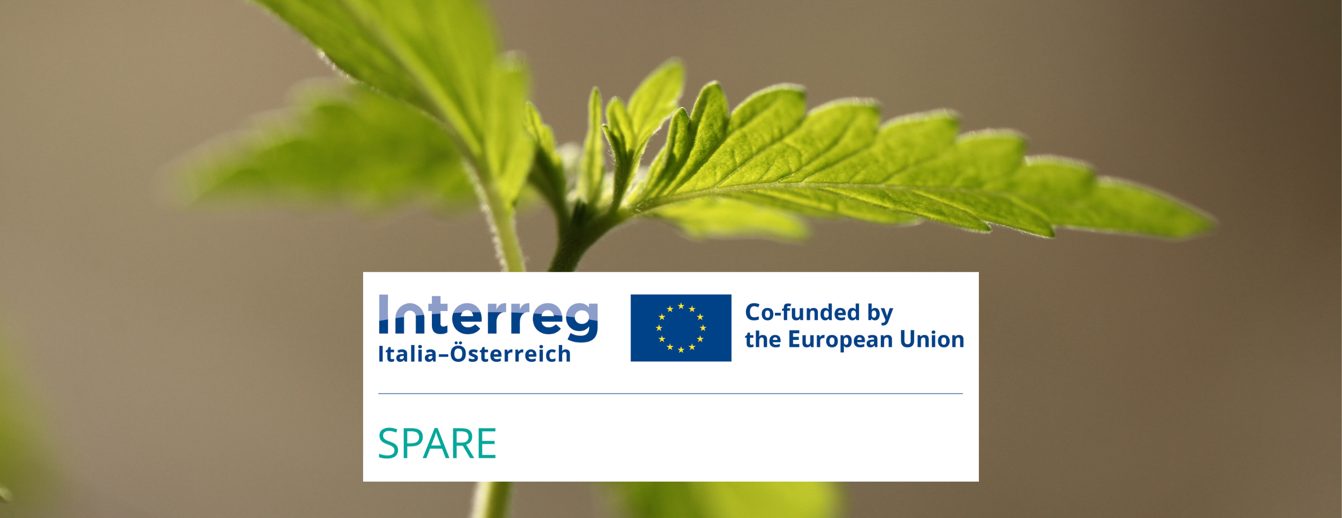 Interreg Spare