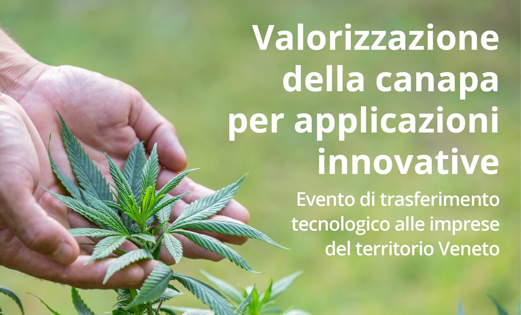 Evento 12 dicembre: valorizzazione della canapa per applicazioni innovative